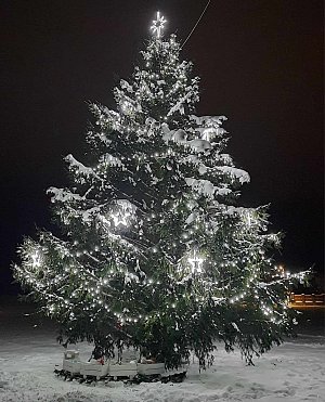 Vánoční strom v Příkosicích 2023.