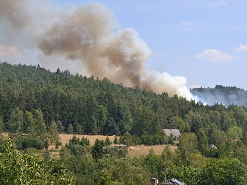 Požár lesa u Pavlovska