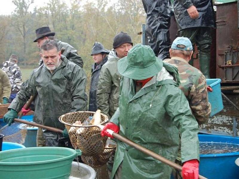 Rybník Bláža na okraji Příkosic byl v sobotu dopoledne dějištěm výlovu. 