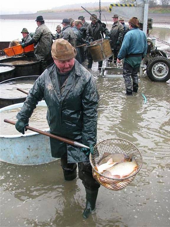 Své šupinaté bohatství vydává po dva dny největší rybník okresu – dvaapadesátihektarový Štěpán.