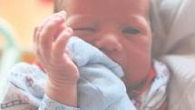 Vít SYNÁČ z Plzně se na sále rokycanské porodnice narodil 25. října v 18 hodin a 24 minut. Maminka Jana a tatínek Jindřich věděli dopředu, že jejich první dítě bude chlapeček. Malý Vítek vážil při narození 3220 gramů, měřil rovných 50 cm.