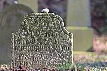 Židovský hřbitov v Radnicích.