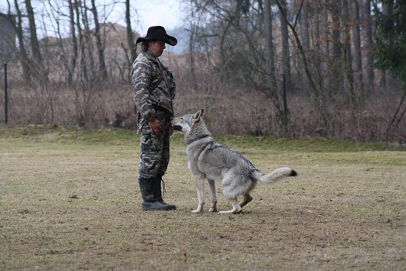 Petr Treppesch s československým vlčákem Bountym.