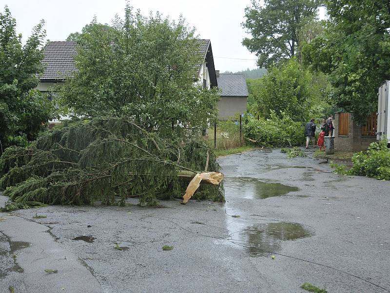 V centu Pavlovska stromy uzavřely centrum obce.