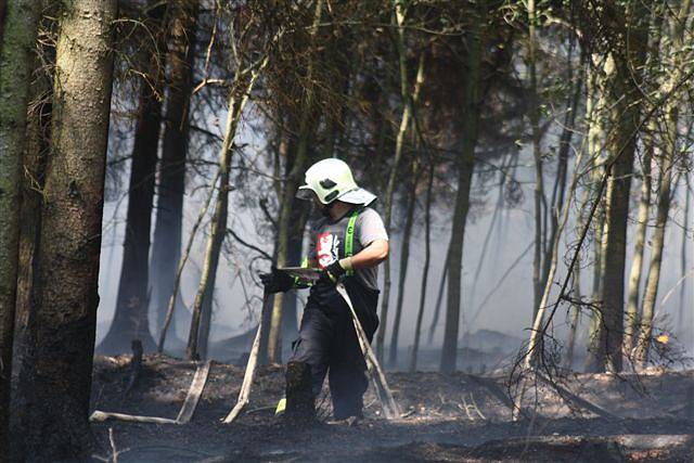 Požár u Pavlovska.
