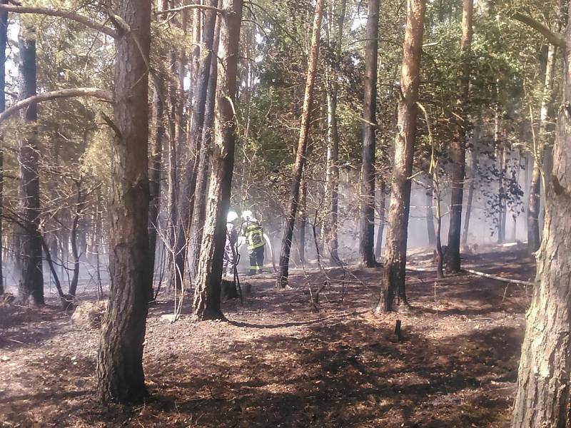 Požár pole a lesa u Pavlovska na Rokycansku