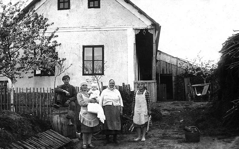 Letos půjde o rouby jabloní, příští rok jsou na řadě třešně