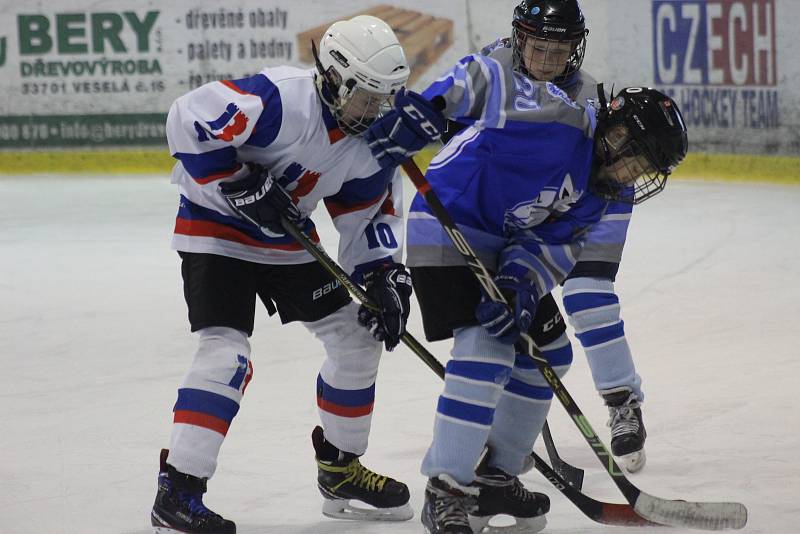 5. třída HC Rokycany - Domažlice 2:5