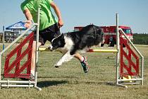 Agility klub Rokycany