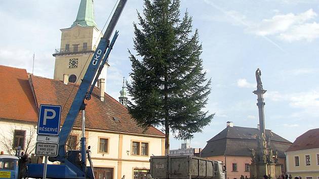 V pondělí dopoledne instalovali pracovníci Rumpoldu – R, Rokycany na Masarykovo náměstí vánoční strom. Ozdoby jej zkrášlí ve středu a ve čtvrtek, prvně zazáří v sobotu pátého prosince.