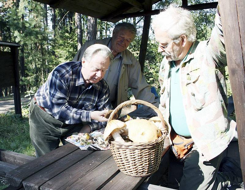 Po lesní výpravě přední český mykolog Jiří Baier (vlevo) v lomečku na Žďáru určoval úlovky houbařů a přidal i řadu rad. Na snímku s ním jsou Zdeněk Jelínek a Vlastimil Pešl. 