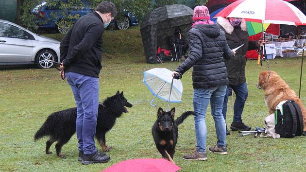 Výstavě psů v Rokycanech počasí nepřálo...