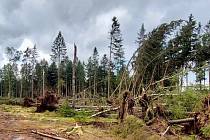 Větrná smršť poškodila před pár dny až deset tisíc kubíků dřevin