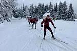 Rokycanská stáj AC Sparta pilovala fyzičku.