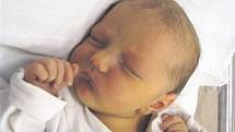 Amélie se narodila 15. listopadu ve 13 hodin a 41 minut 41 ve Fakultní nemocnici v Plzni. Z jejího příchodu na svět se radují maminka Petra Otec Hanzlovská a tatínek Lumír Otec z Kamenného Újezda. Malá Amélie vážila 3350 gramů.