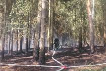 Požár pole a lesa u Pavlovska na Rokycansku