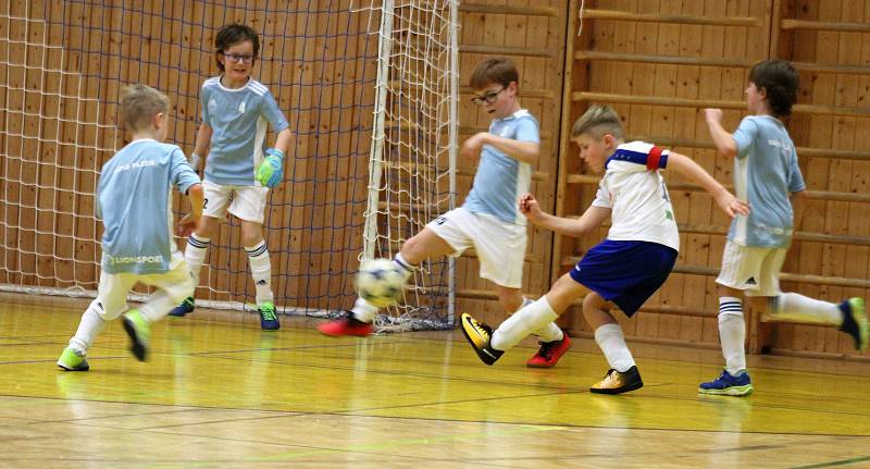 Palubovka rokycanského gymnázia byla vytížená celou sobotu.