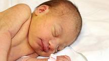 AMÉLIE TURKOVÁ z Rokycan bude mít ve svém rodném listu datum narození 23. dubna. Přišla na svět v půl deváté ráno. Manželé Pavla a Ondřej věděli dopředu, že jejich první dítě bude holčička. Malá Amélie vážila 3130 gramů, měřila 49 cm.