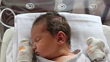 Sofie Kolesová z Mariánských Lázní se narodila 3. srpna v 9:10 hodin rodičům Janě  a Petrovi. Po příchodu na svět v plzeňské FN na Lochotíně vážila sestřička šestiletého Péti 3090 gramů.