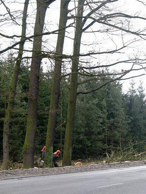 Dopravní omezení, které bylo nutné při kácení vzrostlých stromů nad Rokycany, skončilo úterním dnem.