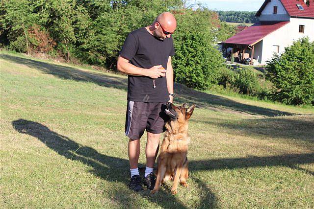 O sobotní agility soutěž, týkající se hravých pejsků, byl obrovský zájem.