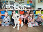 Čtyřměsíční Marci se ve školce v Kamenném Újezdě připravuje na své budoucí poslání asistenčního psa.