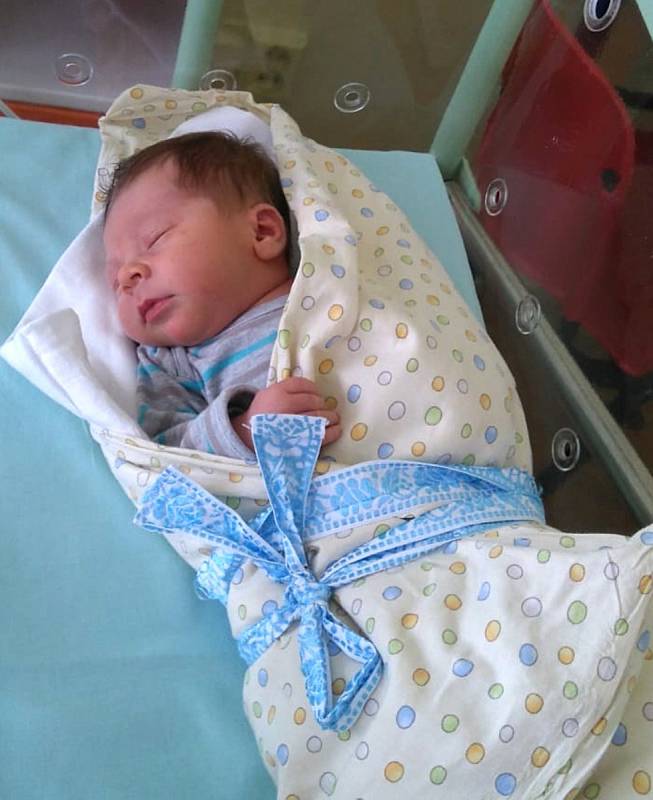 Vojtěch Voříšek se narodil mamince Simoně, tatínkovi Petrovi a sestřičce Natálce 15. února 2020 v plzeňské Mulačově nemocnici. Při příchodu na svět vážil 3580 gramů a měřil 50 centimetrů.