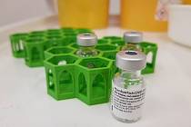 Rokycanská nemocnice vyřešila problém s nestabilní vakcínou, má držáky z 3D tiskárny.