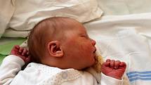 EMA RAMBOUSKÁ z Rokycan se narodila 1. března v 19 hodin a 24 minut. Maminka Michaela a tatínek Rudolf věděli dopředu, že jejich první dítě bude holčička. Malá Emička přišla na svět s mírami 3430 gramů a 50 cm. 