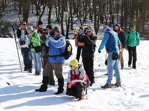 Vycházka spojená s pozorováním přezimujících ptáků