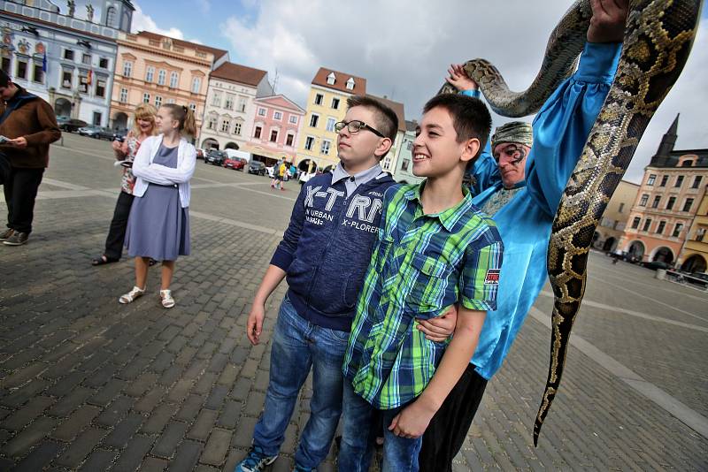 Deník domluvil pro své čtenáře focení s krajtou.