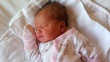 Táňa a Martin Pavelkovi jsou rodiči novorozené Lorianny Pavelkové. Narodila se v táborské nemocnici 24. 3. 2021 v 11.09 h. Vážila 4,61 kg.