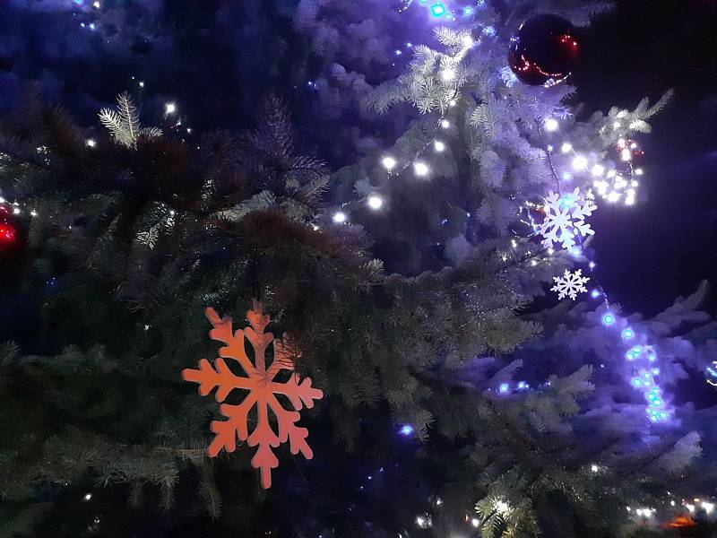 Vánoční strom Rudolfov.