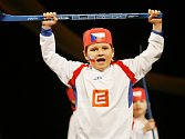 Devátý ročník dětských podiových vystoupení Ma­teřinka se ve čtvrtek konal v českobudějovickém Metropolu. Zúčastnilo se ho dvanáct mateřských škol z celých Jižních Čech.