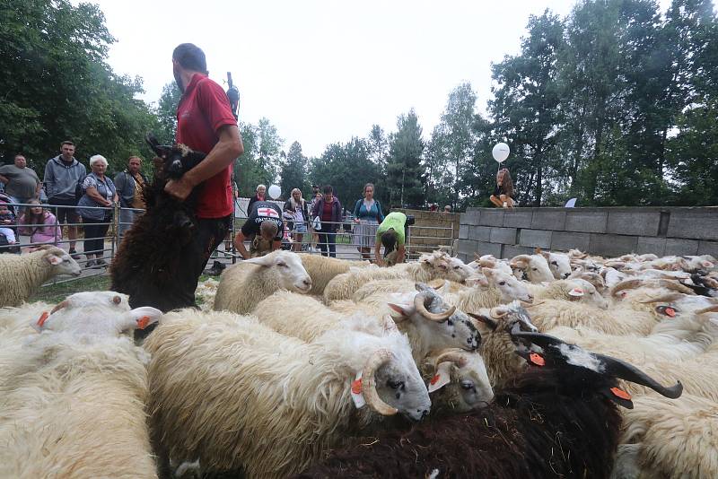 Výstava Země živitelka 2022 začala.