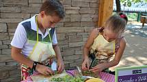 V Café Deník v budějovickém parku Bosonoha děti v úterý vytvářely z ovoce a zeleniny zdravé dobroty. I ty se objeví v knize Zuzanka a Jiřík vaří.