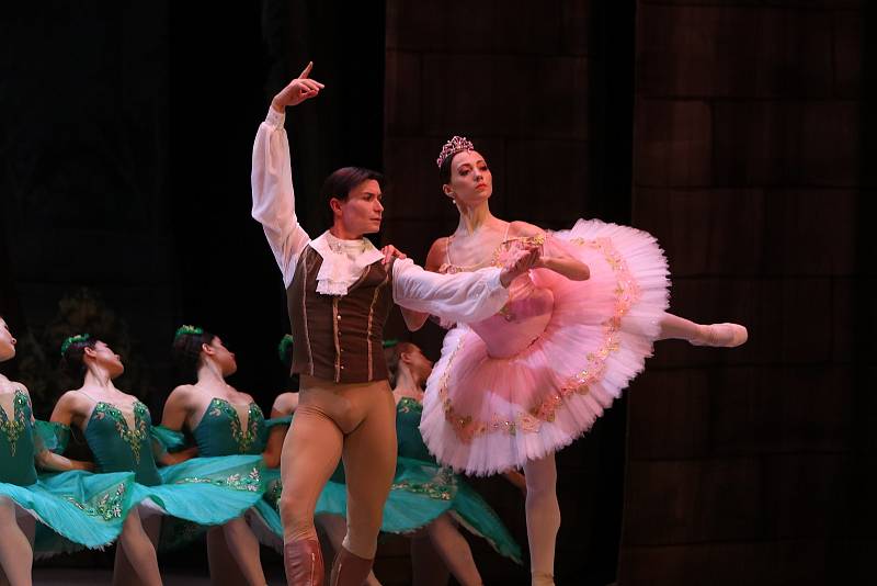 Šípkovou Růženku na hudbu P. I. Čajkovského v Metropolu uvedl St. Petersburg Festival Ballet.