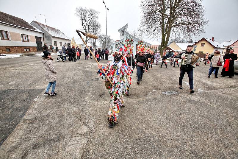 V Ločenicích na Českobudějovicku chodí o masopustu hned dvě party koledníků. Kromě klasické "velké" koledy, chodí od domu k domu "malá" koleda mladších kluků.