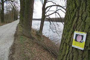 Přírodní rezervace leží na severozápadním okraji Českých Budějovic a má rozlohu 245,8 ha. Zahrnuje čtyři rybníky, mokřady a louky. Vyznačuje se bohatou a unikátní faunou i flórou.