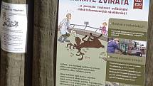 V Jihočeské zoologické zahradě se smějí krmit zakrslé kozičky a kapři granulemi z automatů. Jakékoliv jiné krmení zvířat je zakázáno. Bohužel to ne všichni návštěvníci respektují.