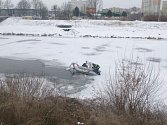 Zamrzlou uhynulou labuť na Vltavě v Českých Budějovicích  včera dopoledne nahlásil občan městské policii. Strážníci ji objevili zachycenou na okraji ledu a proudící vody.