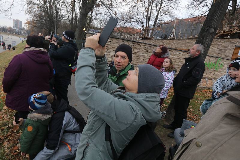 Z náplavky u Vltavy vzlétl balón OK 1918 v národních barvách, na oslavu Dne boje za svobodu a demokracii a Mezinárodního dne studentstva 17. listopadu.