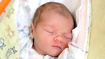 V jihočeské metropoli bude vyrůstat novorozená Ema Boudová. Maminka Jana Boudová ji porodila 24. 8. 2020 v 15.32 h., vážila 4,08 kg.