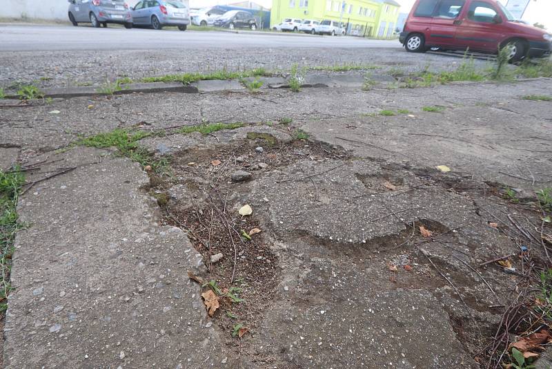 Vymlácený areál skleníků s tunami odpadků, šrot, vraky. I to jsou Budějovice.