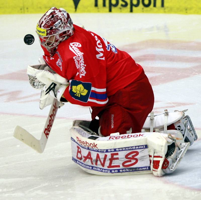 Utkání Tipsport hokejové extraligy mezi HC České Budějovice a Bílí Tygři Liberec. 