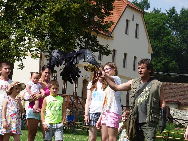 Letní sezona na zámku Mitrowicz v Kolodějích nad Lužnicí je v plném proudu.