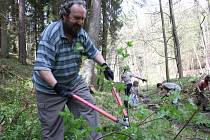 Při brigádě v Terčině údolí odstraňovali dobrovolníci náletové dřeviny a čistili koryta potoků. 