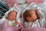 Hned dvojnásobnou radost mají v Borovanech, a to z holčiček Katky a Adélky Bauerových, jež se narodily v pondělí 17.9.2012. Katka s porodní váhou 2,53 kg v 8 hodin a 16 minut a Adéla s porodní váhou 2,74 kg v 8 hodin a 15 minut.