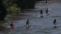 4. ročník MČR v říčním maratonu na paddleboardu. Jelo se ze Zlaté Koruny do Boršova nad Vltavou.