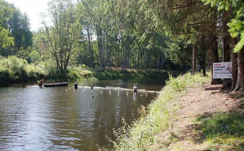 Zábrany mají znesnadnit tah kaprovitých ryb do horní Vltavy a ochránit tak populaci pstruha a nepřímo hlavně perlorodku.